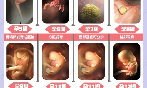 脂肪少的食品网 - 网站提供脂肪少的食品都有哪些小常识、脂肪量低食物排行榜