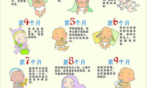 少脂的食物-脂肪少的食品网 - 网站提供脂肪少的食品都有哪些小常识、脂肪量低食物排行榜