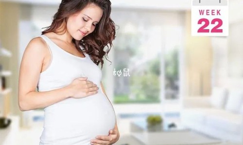 脂肪少的食品网 - 网站提供脂肪少的食品都有哪些小常识、脂肪量低食物排行榜